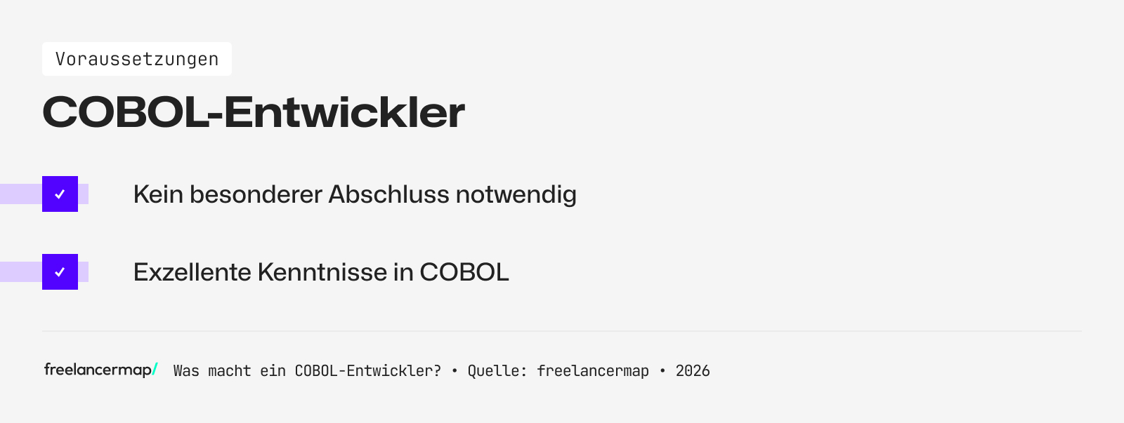 Voraussetzungen, die ein COBOL-Entwickler in der Regel erfüllen muss