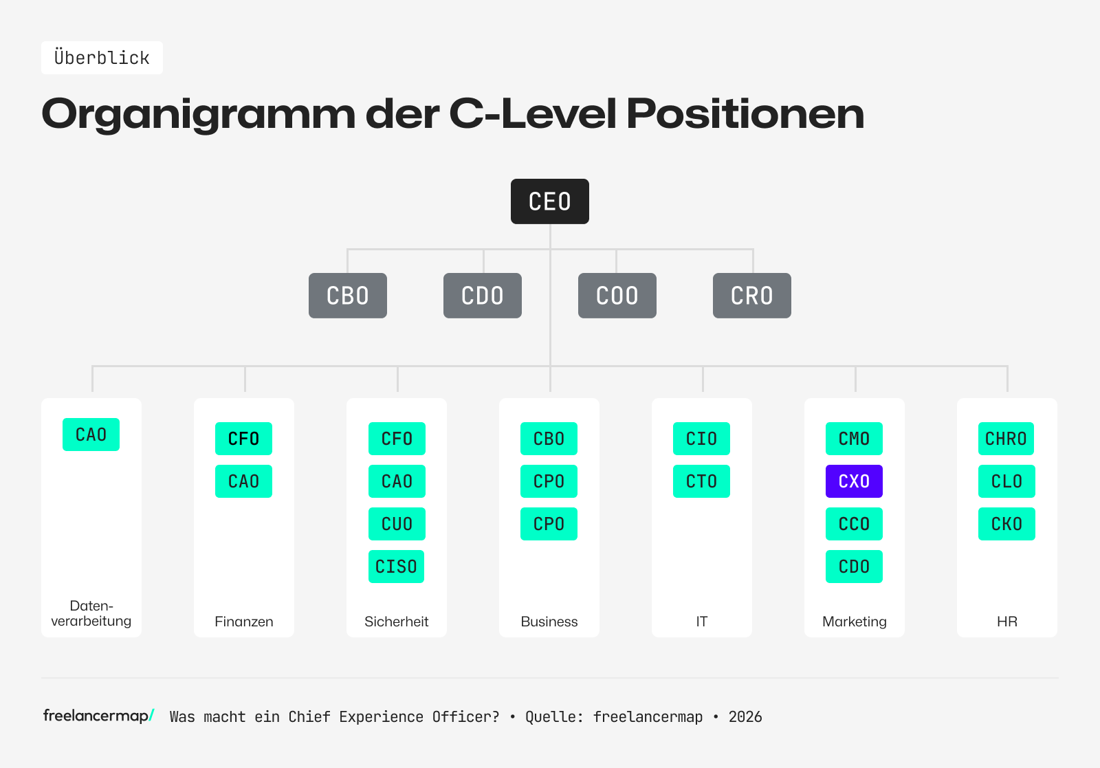 Organigramm-CXO-Chief Experience Officer