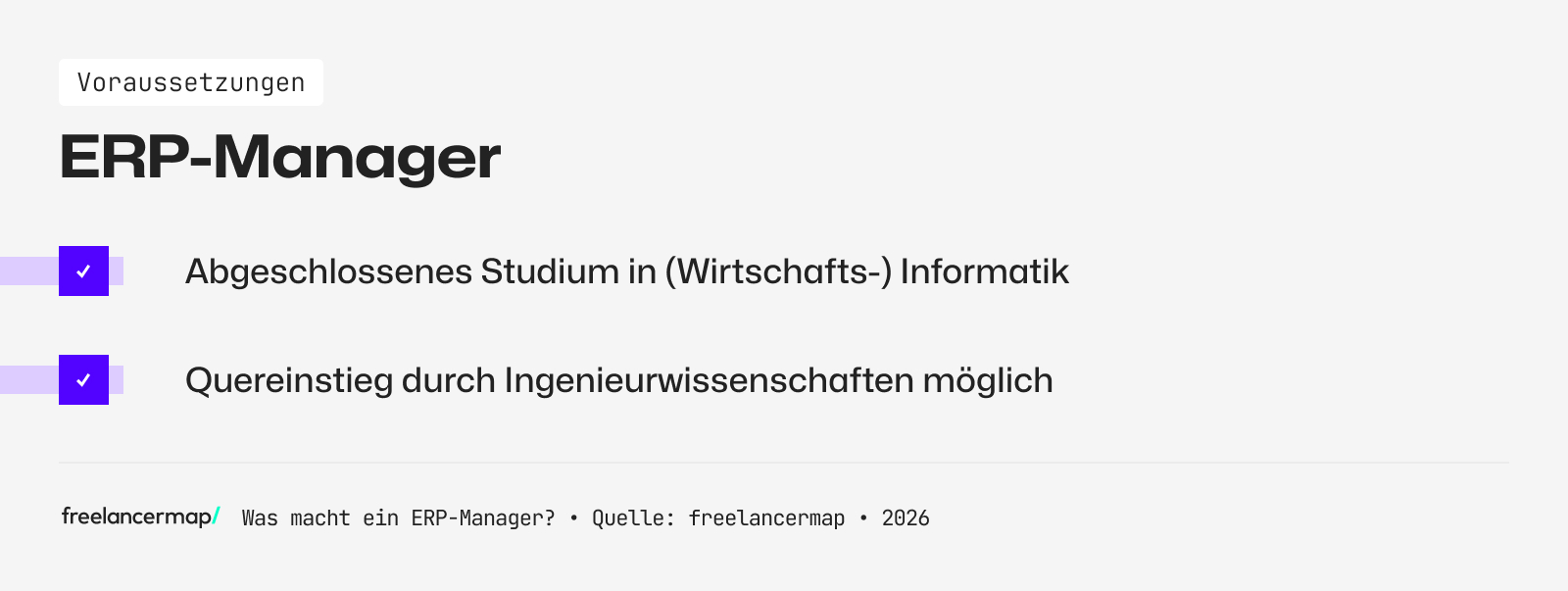 Voraussetzungen, die für den ERP-Manager gelten