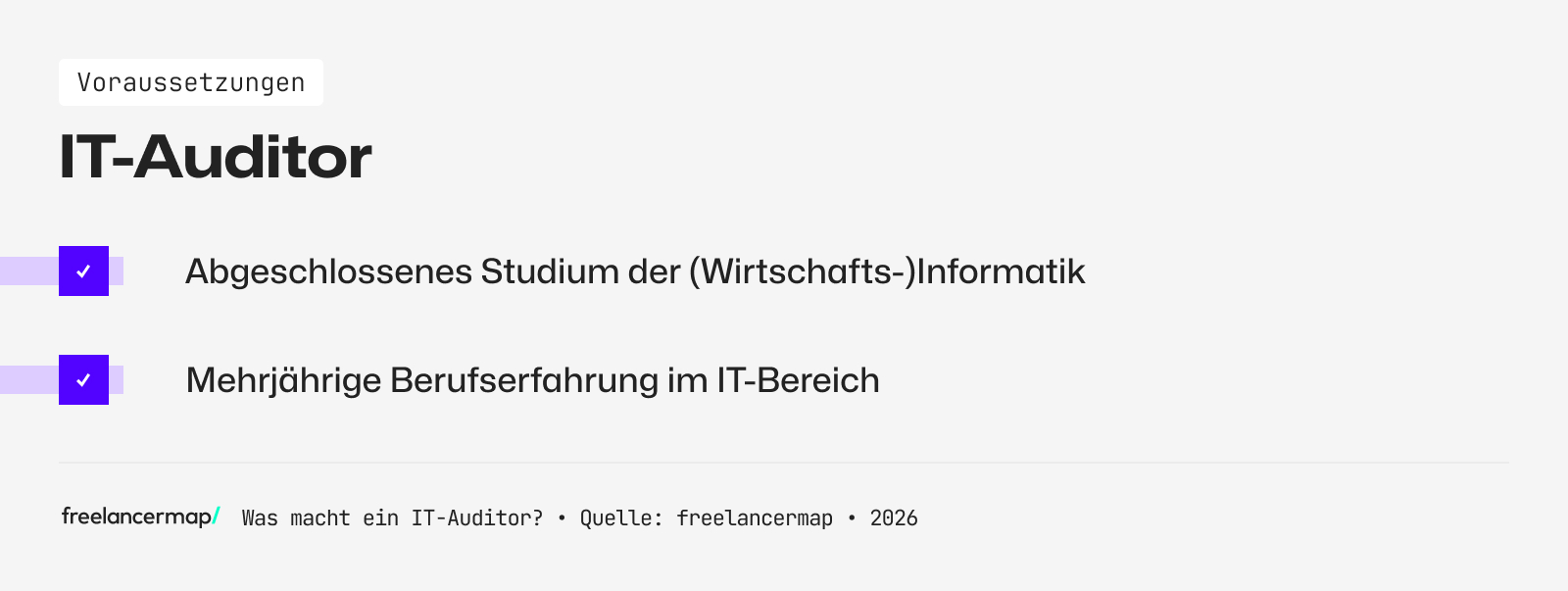 Voraussetzungen, die für den IT-Auditor gelten