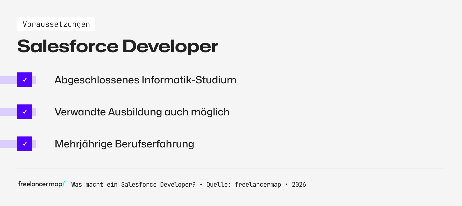 Voraussetzungen, die für den Salesforce Developer gelten