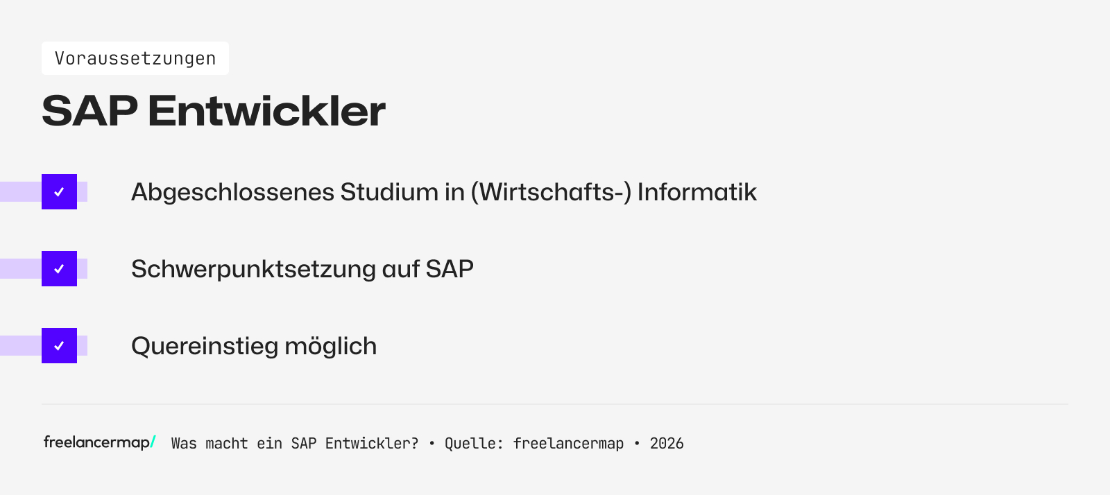 Voraussetzungen, die für den SAP Entwickler gelten