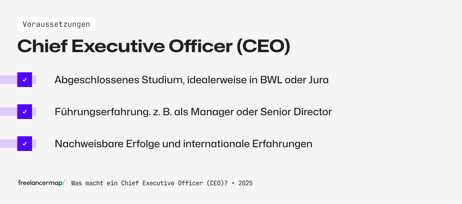 Voraussetzungen, die für den Chief Executive Officer (CEO) gelten